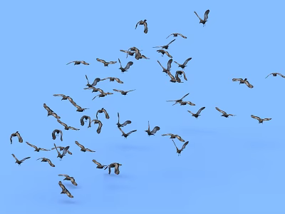 Graceful Flock of Flying Birds Soaring in Clear Blue Sky Background Scene 3d model
