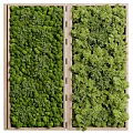 Vertical Green Wall With Various Lush Plants 3d model