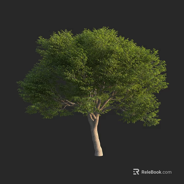 Lush Green Arbor With Dense Foliage Strong Trunk And Healthy Branches 3d model 