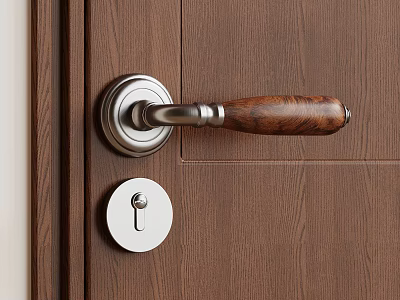 Metal and Wooden Door Handle on Brown Wooden Door with Keyhole and Classic Design 3d model