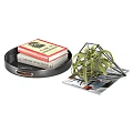 Elegant Decorative Ornament Set With Black Tray Books Magazine And Metal Frame Succulent