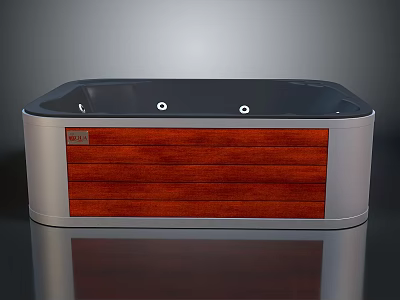 Modern Bathtub Design With Wooden Panel Silver Frame And Black Top 3d model