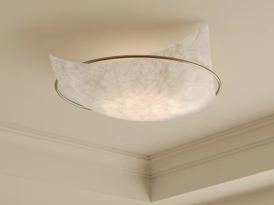 Elegant Ceiling Light With Metal Frame And Textured Shade For Interior Crown Molding Design 3d model