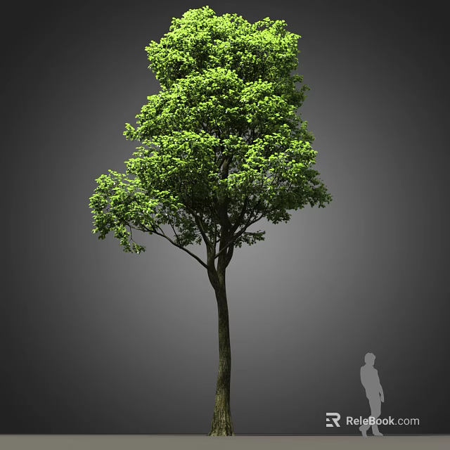 Lush Green Leafy Arbor with Straight Trunk and Human Silhouette Against Gray Background 3d model 
