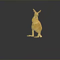 Standing Orange and White Kangaroo on Dark Gray Background with Floor Reflection 3d model