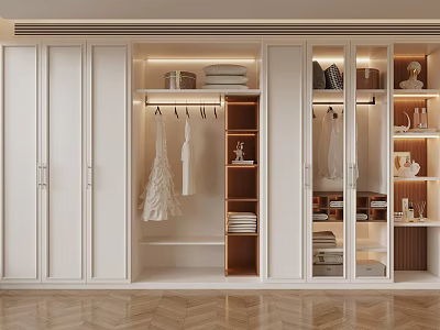 Modern Wardrobe Interior With Glass Doors Hanging Folded Clothes And Decorative Items 3d model