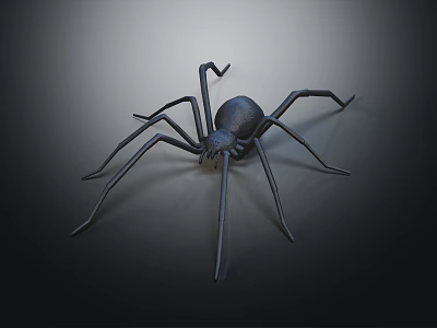 Realistic Black Spider With Long Thin Legs On Dark Background 3d model