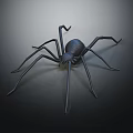 Realistic Black Spider With Long Thin Legs On Dark Background