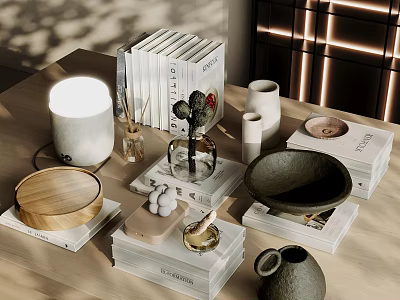 Modern Decorative Ornament Combination with Tabletop Books Lamp Cactus Wooden Tray and Ceramic Vases 3d model