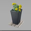 Yellow Flowering Plant with Green Leaves in Gray Square Woven Planter on Wooden Plank Base