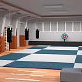 Martial Arts Training Room With Hanging Punching Bags Target And Checkered Mats