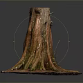 Natural Wooden Tree Stump With Intricate Roots And Stone Base