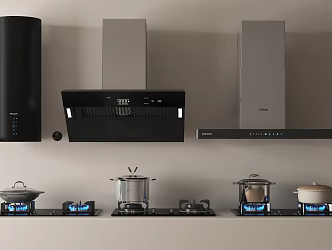 Range hood gas stove integrated stove 3d model