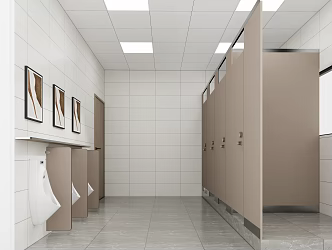 Toilets in urban and rural resettlement houses 3d model
