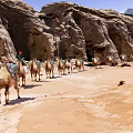 Desert Camel Caravan With Turbaned Guide Walking Through Sandy Dunes And Arid Terrain