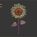 Bright Yellow Sunflower With Green Stem And Leaves On Dark Background