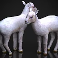 Two White Baby Reptiles Standing Together on Shiny Reflective Surface