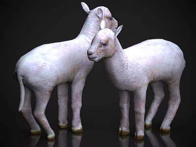 Two White Baby Reptiles Standing Together on Shiny Reflective Surface 3d model