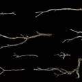 Dry Tree Branches with Various Shapes Isolated on Black Background 3d model