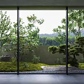 Serene Courtyard Garden With Glass Walls Trees Moss Stones And Natural Landscape