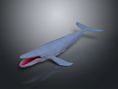 Blue Whale with Open Mouth Dorsal Fin and Pectoral Fins Against Dark Gradient Background 3d model