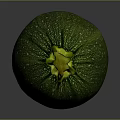 Green Round Zucchini with White Spots and Yellow Stem on Dark Background