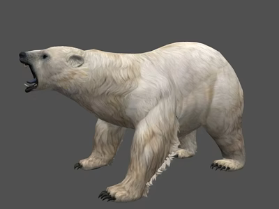Realistic Polar Bear 3D Render With White Fur Open Mouth Standing Against Gray Background 3d model