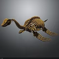 Turtle Skeleton With Detailed Bone Structure And Natural Lifelike Posture