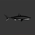 Metallic Shark Swimming Pose With Detailed Fins Dark Background Clear Reflection
