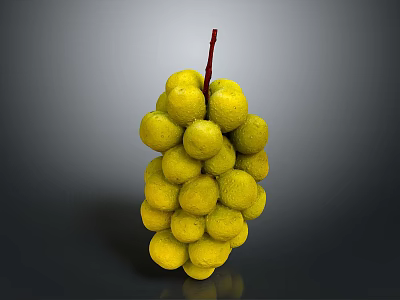 Yellow Grapes with Water Drops and Red Stem on Gray Gradient Background 3d model