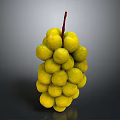 Yellow Grapes with Water Drops and Red Stem on Gray Gradient Background