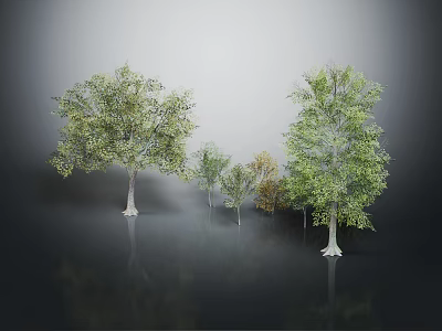 Different Sizes Trees With Green Leaves And One Yellowish In Grey Background Reflective Ground 3d model