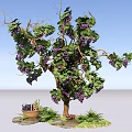Grape Bush with Purple Grapes Green Vines Leaves Basket Underneath Stones and Grass