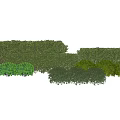 Diverse Sizes and Shapes of Lush Green Shrubs for Garden Landscape Design