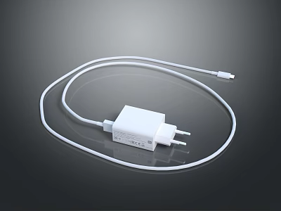 White USB C Charger with Cable Power Adapter for Mobile Phone Digital Devices 3d model