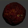 Fresh Ripe Red Passion Fruit With Yellow Spots And Brown Stem On Dark Background