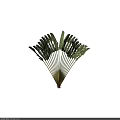 Lush Tropical Arbor With Fan Shaped Green Foliage And Yellow Stems