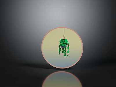 Green Hanging Plant Suspended In Circular Transparent Container With Gradient Gray Black Background And Reflection 3d model