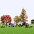 Multicolored Trees With Different Heights And Shapes On Green Lawn With Shrubs