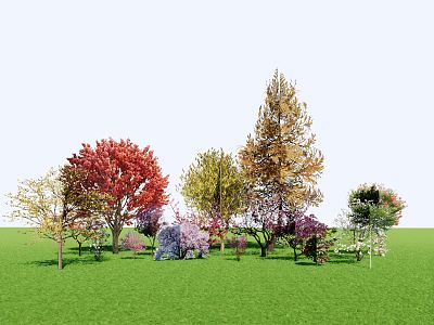 modern tree arbor 3d model