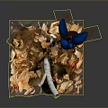 Blue Beetles One Flying And One Perched On White Branch With Dried Leaves Red Flowers