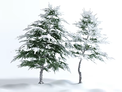 Two Snow Covered Evergreen Trees Standing On White Snowy Ground In Winter 3d model