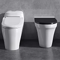 Modern Toilet Designs with White Body and Black Seats Displaying Various Styles