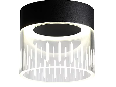 Modern Black Top Ceiling Light With Transparent Lampshade White Stripe Pattern And Light Ring 3d model
