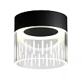 Modern Black Top Ceiling Light With Transparent Lampshade White Stripe Pattern And Light Ring