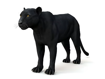 Black Reptile Standing With Detailed Skin Texture And Bright Yellow Eyes 3d model