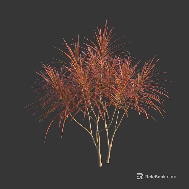 Ornamental Tree With Slender Branches And Red Orange Foliage For Garden Landscaping 3d model 