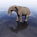 Majestic Reptile Crocodile Standing Under Sky With Calm Water Reflection Scene