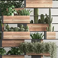 Layered Vertical Garden Decor With Wooden Planters And Mixed Green Succulents