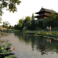 Serene Chinese Garden Landscape With Pond Lotus Leaves Pink Flowers Traditional Building And People Walking